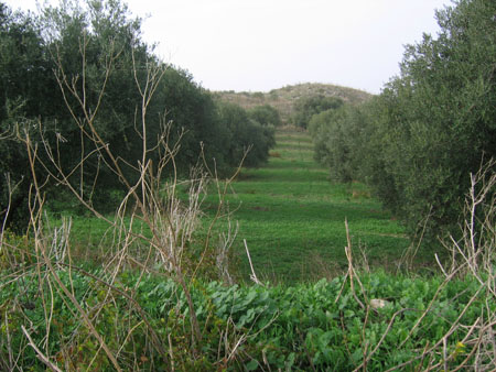 masseria 037