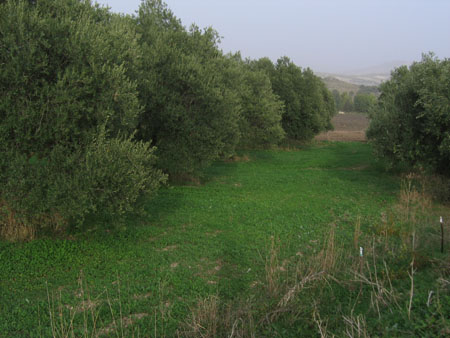 masseria 038
