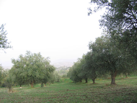 masseria 045