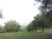 masseria 045
