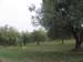masseria 046